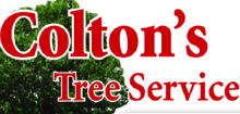 Low Cost Tree Service In Port St Lucie Fl Tree Removal In Port St Lucie Cork D